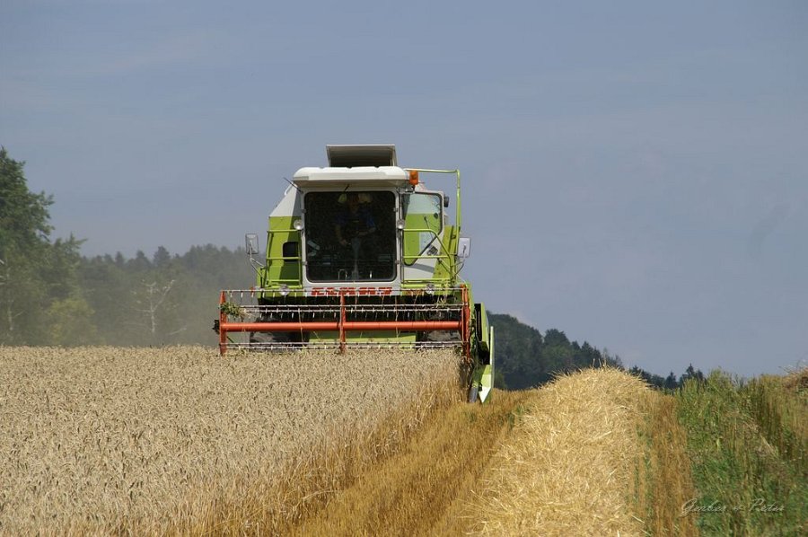 Claas Drescher 63